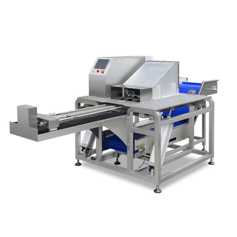 SF-80A CNC Fish Slicer Machine – Leading Food Machinery Manufacturer